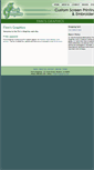 Mobile Screenshot of finnsgraphics.com